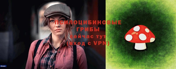 PSILOCYBIN Осинники