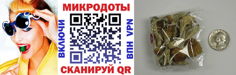 Псилоцибиновые грибы мицелий  Купить закладки  Эртиль 